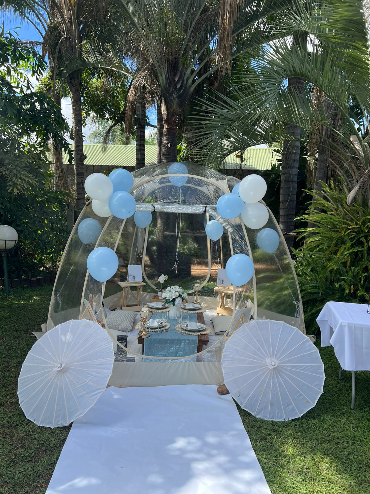 Styled bubble tent picnic setup.